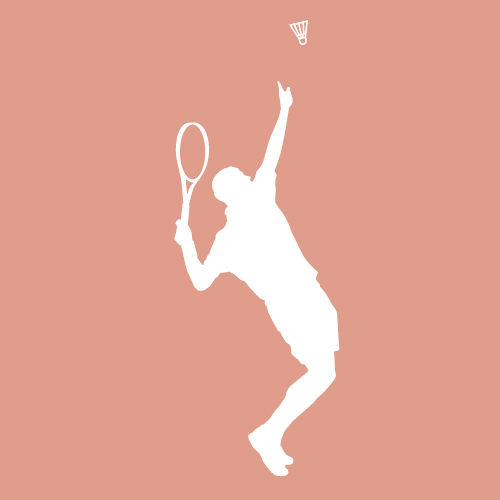 Picto speedminton