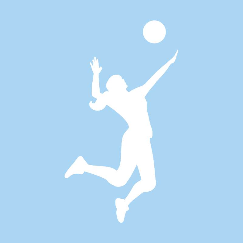 Picto volley