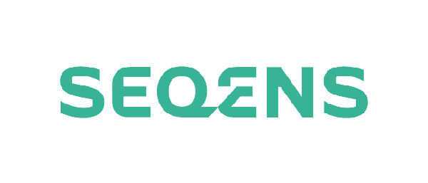 Challenge Energies Team Building Seqens